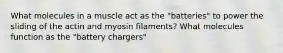 What molecules in a muscle act as the "batteries" to power the sliding of the actin and myosin filaments? What molecules function as the "battery chargers"