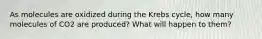 As molecules are oxidized during the Krebs cycle, how many molecules of CO2 are produced? What will happen to them?