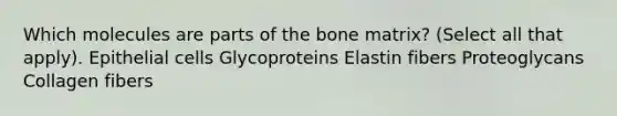 Which molecules are parts of the bone matrix? (Select all that apply). Epithelial cells Glycoproteins Elastin fibers Proteoglycans Collagen fibers