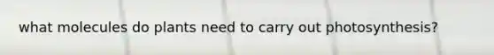 what molecules do plants need to carry out photosynthesis?