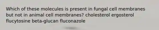 Which of these molecules is present in fungal cell membranes but not in animal cell membranes? cholesterol ergosterol flucytosine beta-glucan fluconazole