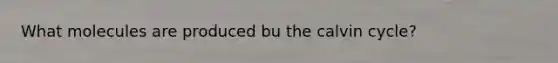 What molecules are produced bu the calvin cycle?