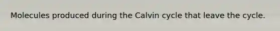 Molecules produced during the Calvin cycle that leave the cycle.