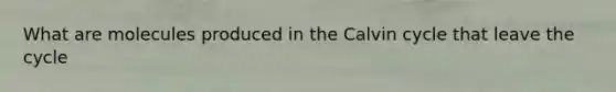 What are molecules produced in the Calvin cycle that leave the cycle
