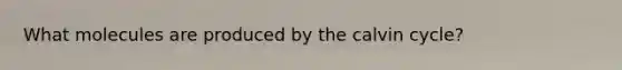 What molecules are produced by the calvin cycle?