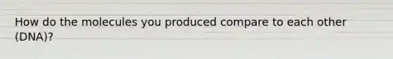 How do the molecules you produced compare to each other (DNA)?