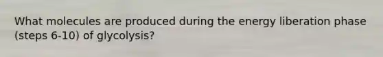 What molecules are produced during the energy liberation phase (steps 6-10) of glycolysis?