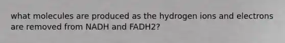 what molecules are produced as the hydrogen ions and electrons are removed from NADH and FADH2?