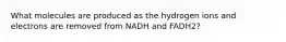 What molecules are produced as the hydrogen ions and electrons are removed from NADH and FADH2?