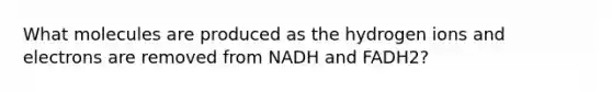 What molecules are produced as the hydrogen ions and electrons are removed from NADH and FADH2?