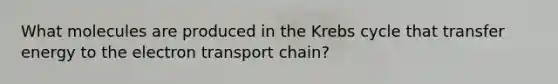 What molecules are produced in the Krebs cycle that transfer energy to <a href='https://www.questionai.com/knowledge/k57oGBr0HP-the-electron-transport-chain' class='anchor-knowledge'>the electron transport chain</a>?