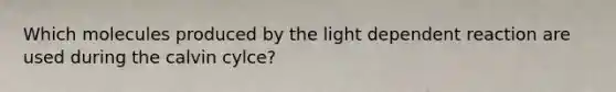 Which molecules produced by the light dependent reaction are used during the calvin cylce?