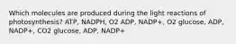 Which molecules are produced during the light reactions of photosynthesis? ATP, NADPH, O2 ADP, NADP+, O2 glucose, ADP, NADP+, CO2 glucose, ADP, NADP+