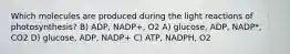 Which molecules are produced during the light reactions of photosynthesis? B) ADP, NADP+, O2 A) glucose, ADP, NADP*, CO2 D) glucose, ADP, NADP+ C) ATP, NADPH, O2