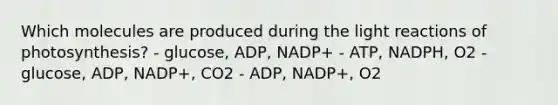 Which molecules are produced during the light reactions of photosynthesis? - glucose, ADP, NADP+ - ATP, NADPH, O2 - glucose, ADP, NADP+, CO2 - ADP, NADP+, O2