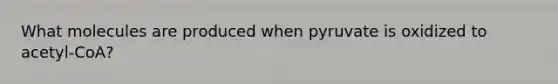 What molecules are produced when pyruvate is oxidized to acetyl-CoA?