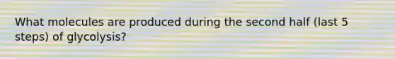 What molecules are produced during the second half (last 5 steps) of glycolysis?