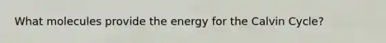 What molecules provide the energy for the Calvin Cycle?