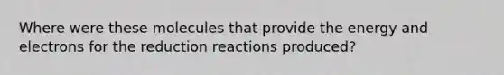 Where were these molecules that provide the energy and electrons for the reduction reactions produced?