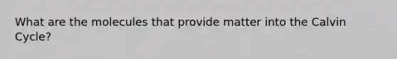 What are the molecules that provide matter into the Calvin Cycle?