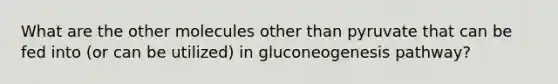 What are the other molecules other than pyruvate that can be fed into (or can be utilized) in gluconeogenesis pathway?