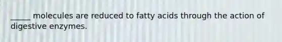 _____ molecules are reduced to fatty acids through the action of digestive enzymes.