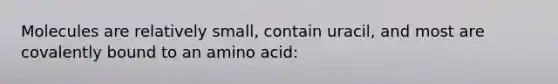 Molecules are relatively small, contain uracil, and most are covalently bound to an amino acid: