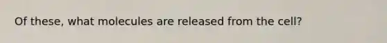 Of these, what molecules are released from the cell?