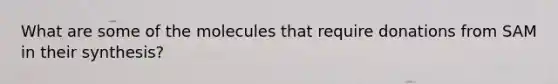 What are some of the molecules that require donations from SAM in their synthesis?