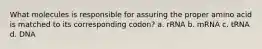 What molecules is responsible for assuring the proper amino acid is matched to its corresponding codon? a. rRNA b. mRNA c. tRNA d. DNA