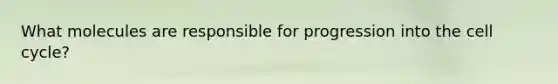 What molecules are responsible for progression into the cell cycle?