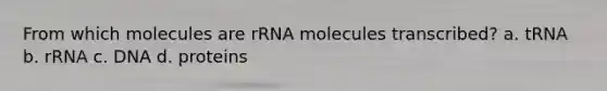 From which molecules are rRNA molecules transcribed? a. tRNA b. rRNA c. DNA d. proteins