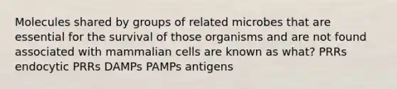 Molecules shared by groups of related microbes that are essential for the survival of those organisms and are not found associated with mammalian cells are known as what? PRRs endocytic PRRs DAMPs PAMPs antigens