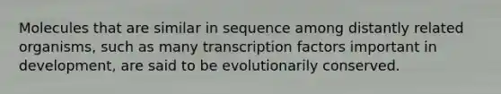 Molecules that are similar in sequence among distantly related organisms, such as many transcription factors important in development, are said to be evolutionarily conserved.