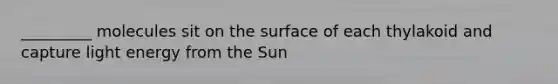 _________ molecules sit on the surface of each thylakoid and capture light energy from the Sun