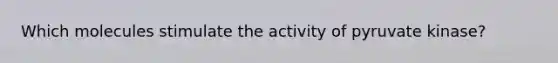 Which molecules stimulate the activity of pyruvate kinase?