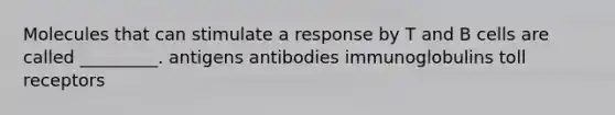 Molecules that can stimulate a response by T and B cells are called _________. antigens antibodies immunoglobulins toll receptors