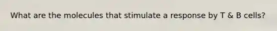 What are the molecules that stimulate a response by T & B cells?