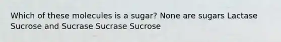 Which of these molecules is a sugar? None are sugars Lactase Sucrose and Sucrase Sucrase Sucrose