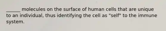 ______ molecules on the surface of human cells that are unique to an individual, thus identifying the cell as "self" to the immune system.