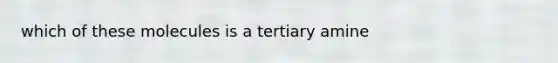 which of these molecules is a tertiary amine