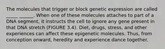 The molecules that trigger or block genetic expression are called _____ ______. When one of these molecules attaches to part of a DNA segment, it instructs the cell to ignore any gene present in that DNA stretch (FIGURE 3.4). Diet, drugs, stress, and other experiences can affect these epigenetic molecules. Thus, from conception onward, heredity and experience dance together.