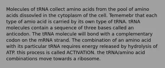 Molecules of tRNA collect <a href='https://www.questionai.com/knowledge/k9gb720LCl-amino-acids' class='anchor-knowledge'>amino acids</a> from the pool of amino acids dissovled in the cytoplasm of the cell. Tememebr that each type of amio acid is carried by its own type of tRNA. tRNA molecules contain a sequence of three bases called an anticodon. The tRNA molecule will bond with a complementary codon on the mRNA strand. The combination of an amino acid with its particular tRNA requires energy released by hydrolysis of ATP. this process is called ACTIVATION. the tRNA/amino acid combinations move towards a ribosome.