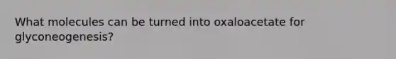 What molecules can be turned into oxaloacetate for glyconeogenesis?