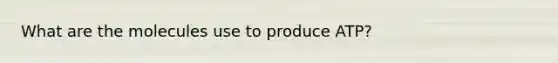 What are the molecules use to produce ATP?