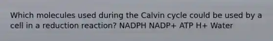 Which molecules used during the Calvin cycle could be used by a cell in a reduction reaction? NADPH NADP+ ATP H+ Water