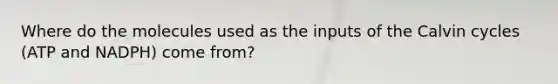 Where do the molecules used as the inputs of the Calvin cycles (ATP and NADPH) come from?