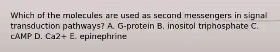 Which of the molecules are used as second messengers in signal transduction pathways? A. G-protein B. inositol triphosphate C. cAMP D. Ca2+ E. epinephrine