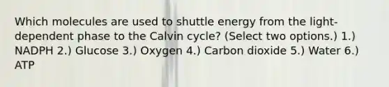 Which molecules are used to shuttle energy from the light-dependent phase to the Calvin cycle? (Select two options.) 1.) NADPH 2.) Glucose 3.) Oxygen 4.) Carbon dioxide 5.) Water 6.) ATP