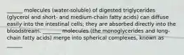 ______ molecules (water-soluble) of digested triglycerides (glycerol and short- and medium-chain fatty acids) can diffuse easily into the intestinal cells; they are absorbed directly into the bloodstream. _______ molecules (the monoglycerides and long-chain fatty acids) merge into spherical complexes, known as ______